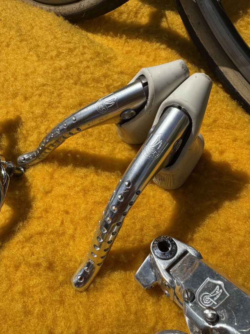 Sada Campagnolo Victory