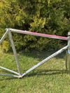 Colnago Arabesque Regal