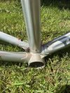 Colnago Arabesque Regal