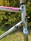 Colnago Arabesque Regal