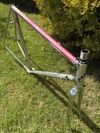 Colnago Arabesque Regal