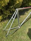 Colnago Arabesque Regal