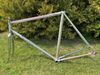 Colnago Arabesque Regal