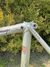 Colnago Arabesque Regal