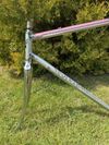 Colnago Arabesque Regal