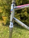 Colnago Arabesque Regal