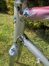 Colnago Arabesque Regal