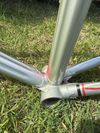 Colnago Arabesque Regal