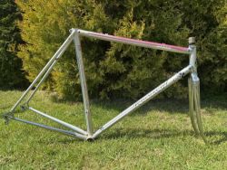 Colnago Arabesque Regal