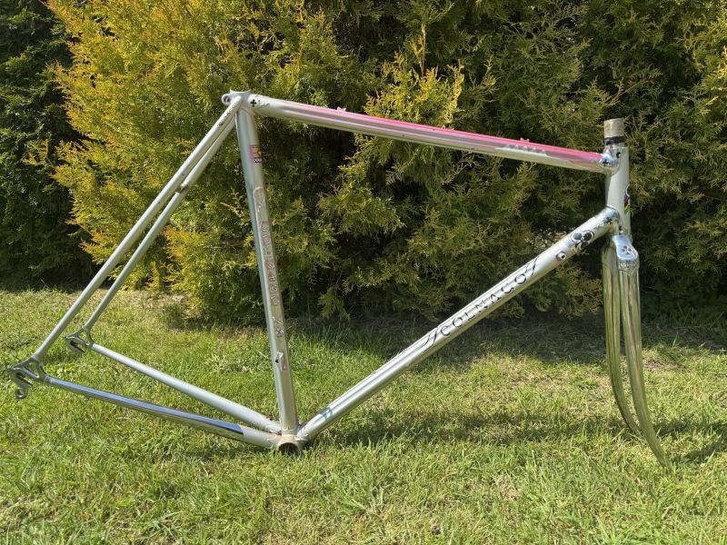 Colnago Arabesque Regal