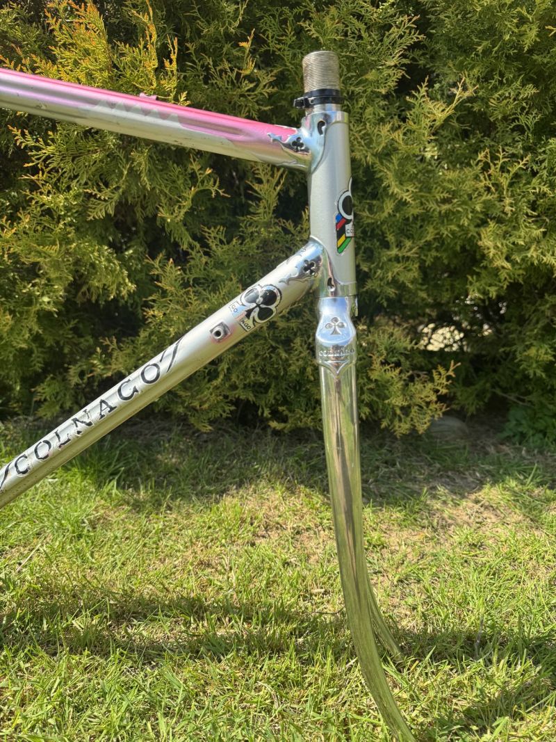 Colnago Arabesque Regal