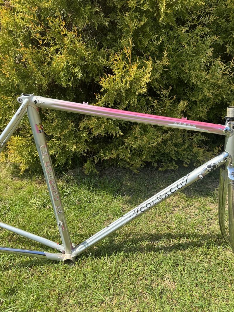 Colnago Arabesque Regal