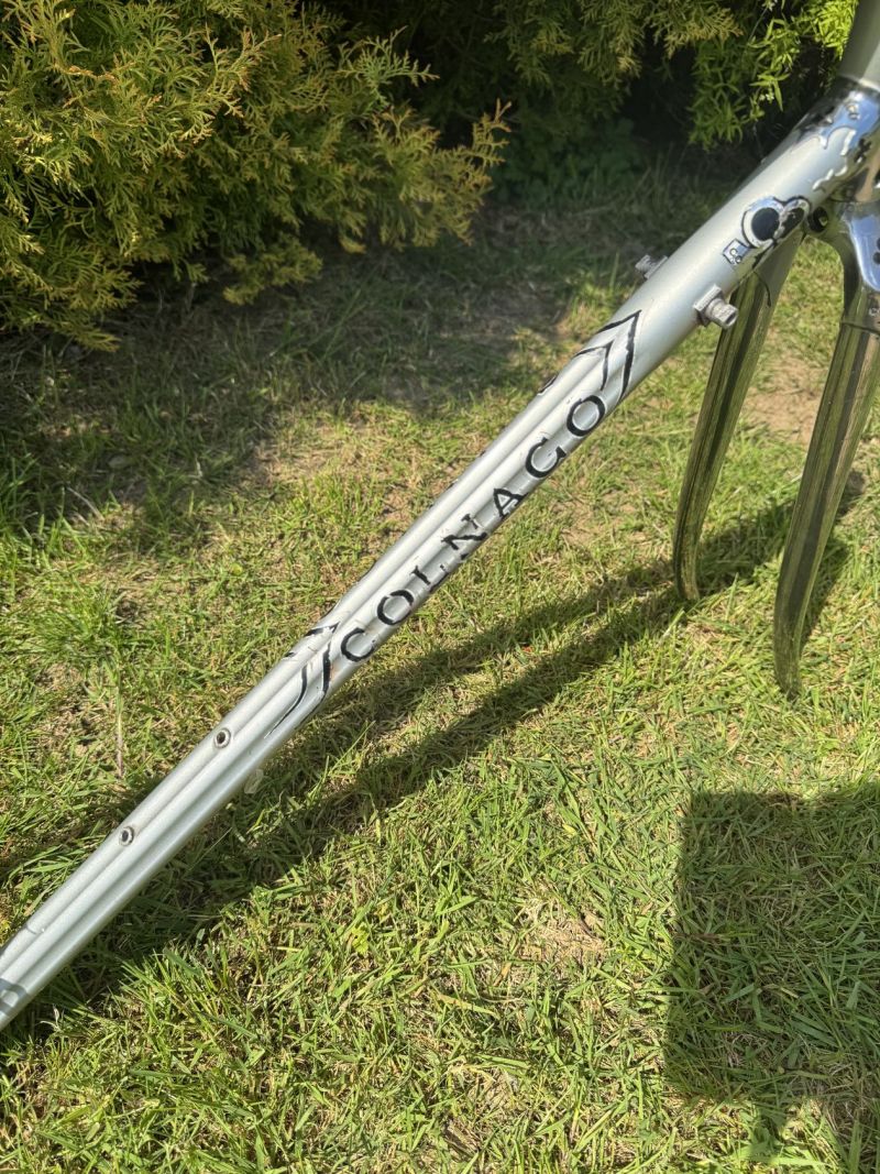Colnago Arabesque Regal