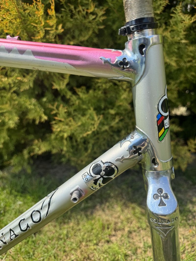 Colnago Arabesque Regal