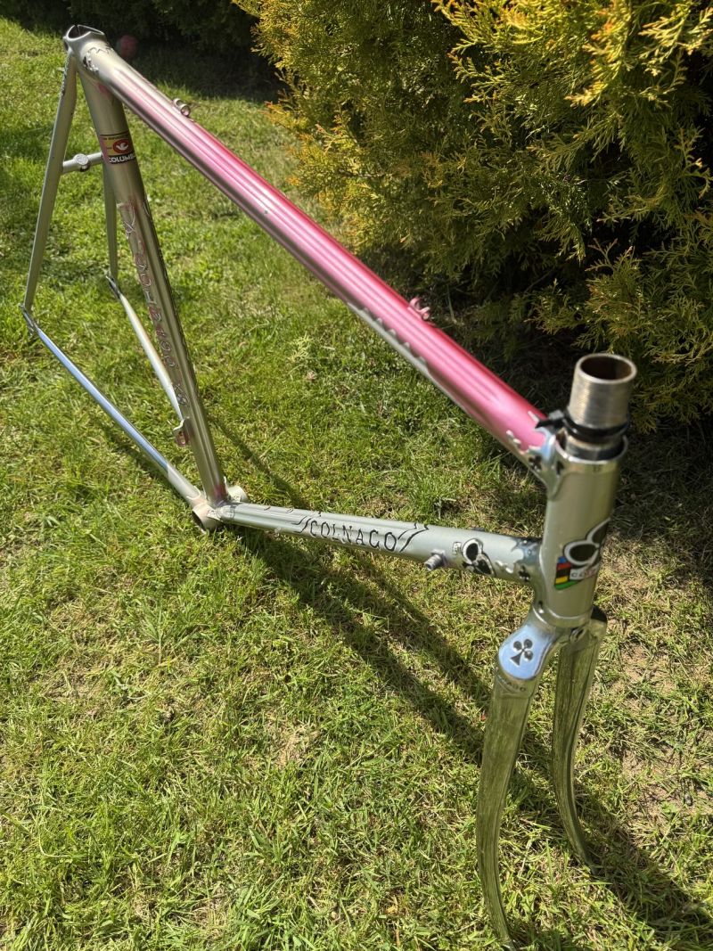 Colnago Arabesque Regal