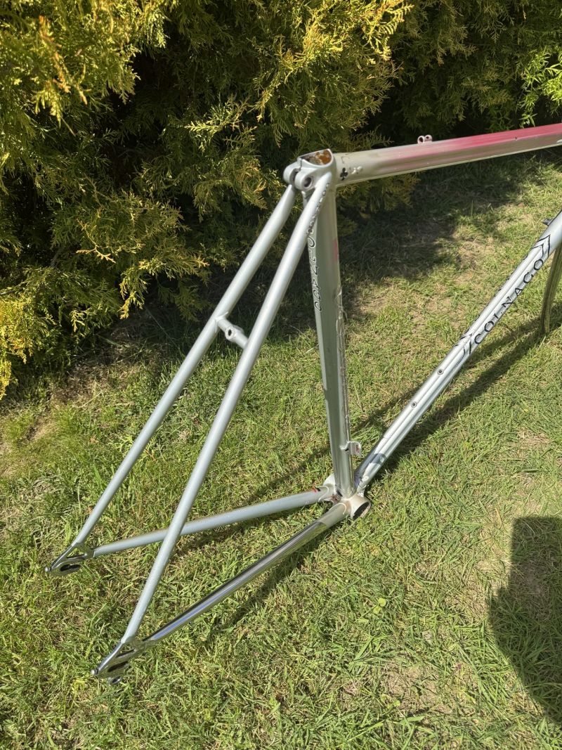 Colnago Arabesque Regal