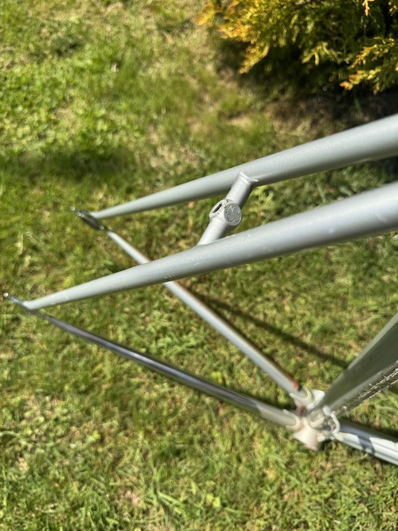 Colnago Arabesque Regal