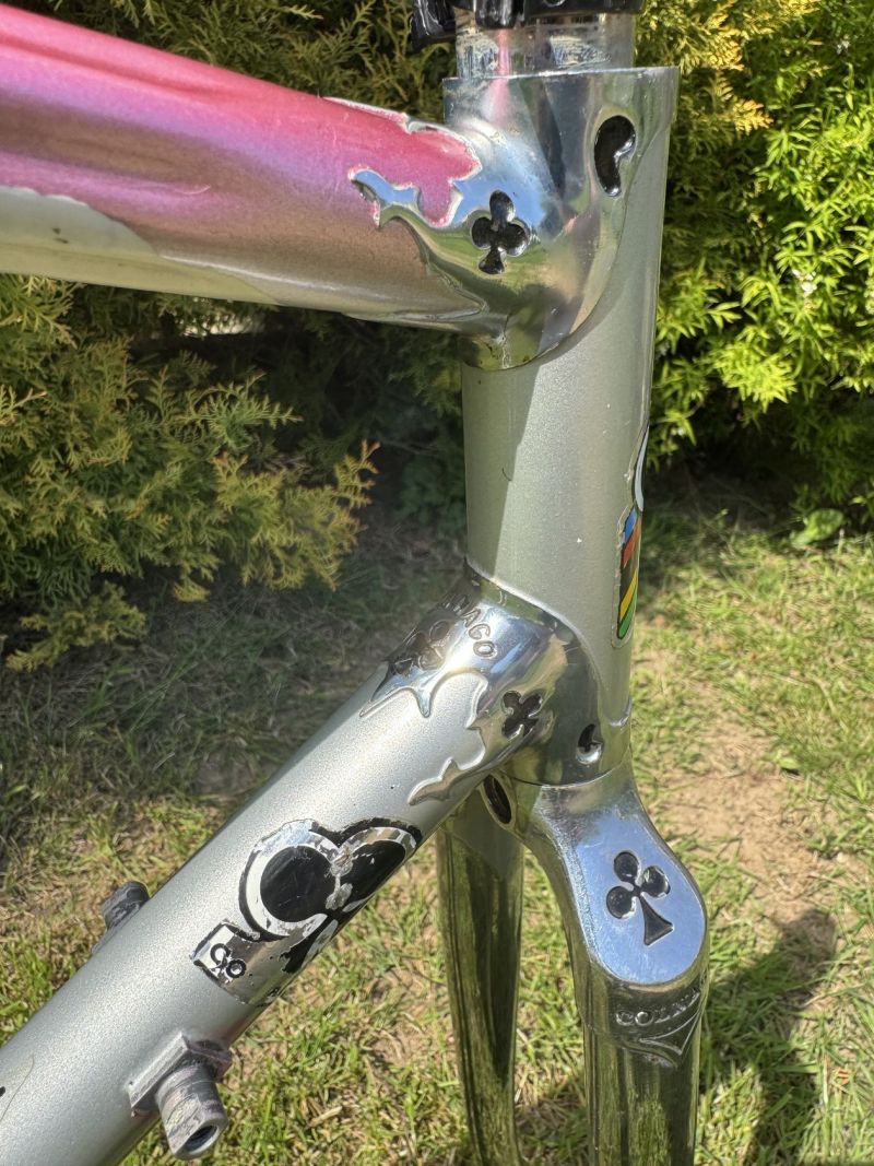 Colnago Arabesque Regal