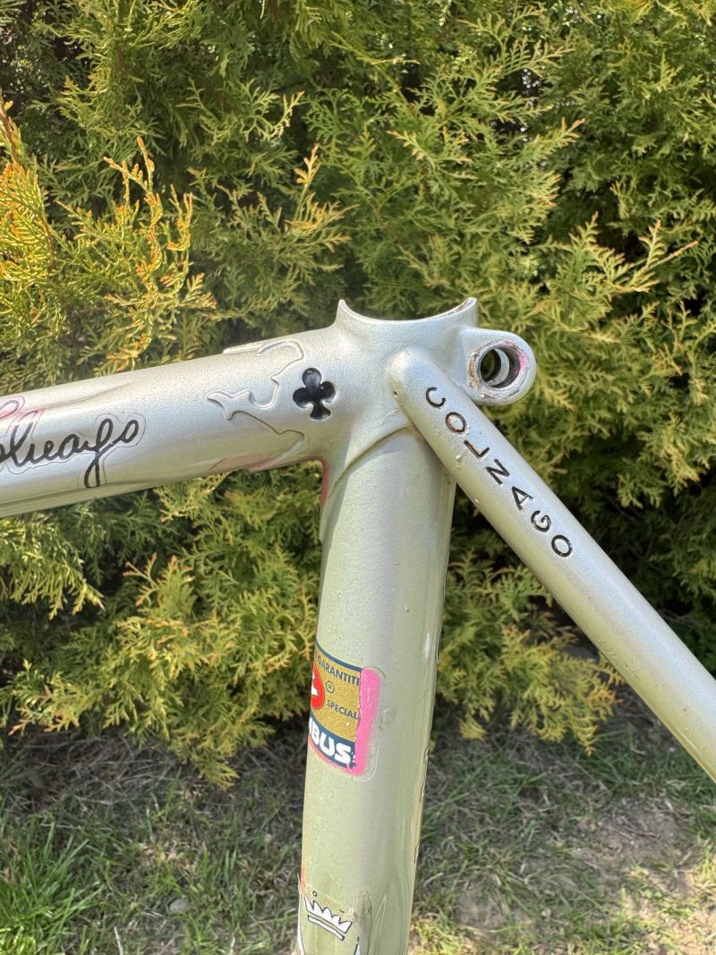 Colnago Arabesque Regal