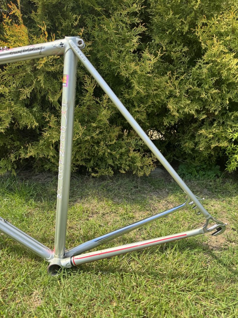 Colnago Arabesque Regal