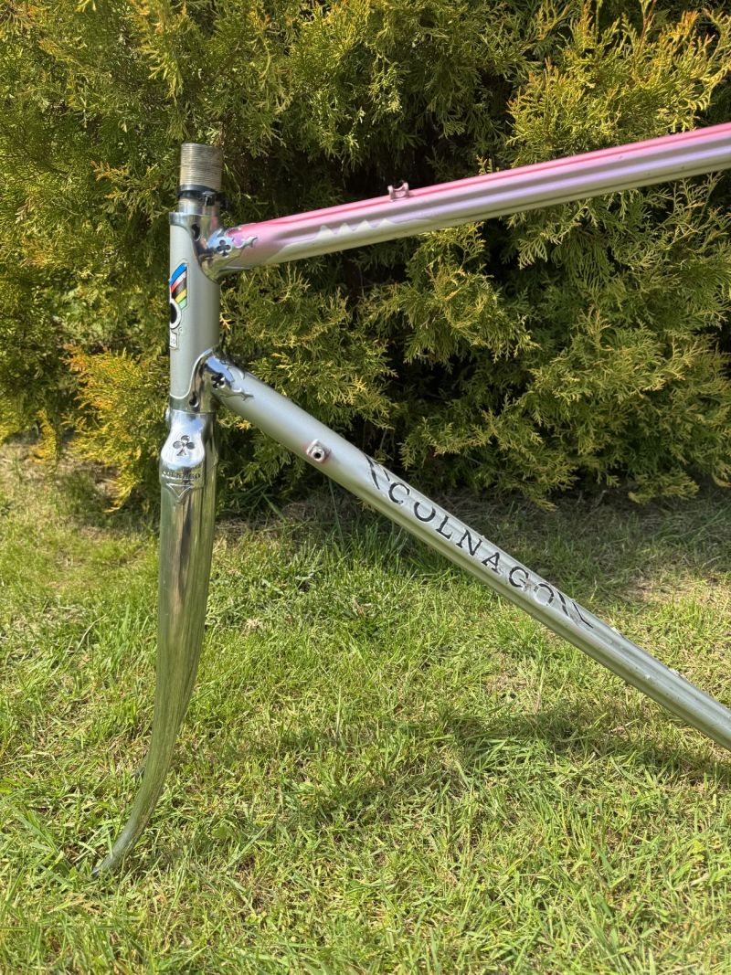 Colnago Arabesque Regal