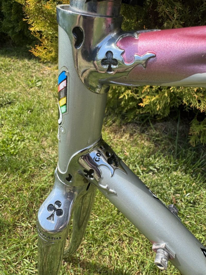 Colnago Arabesque Regal