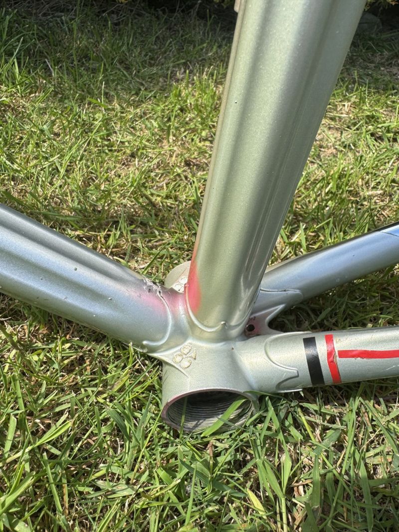 Colnago Arabesque Regal