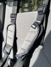 Thule Chariot Lite 1