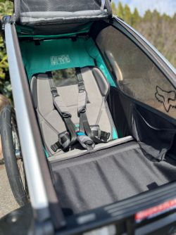 Thule Chariot Lite 1
