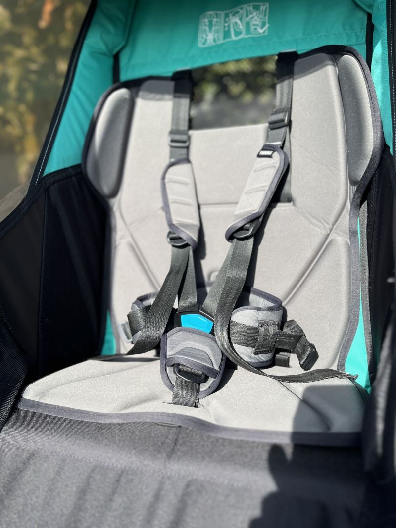 Thule Chariot Lite 1