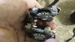 Xtr 
