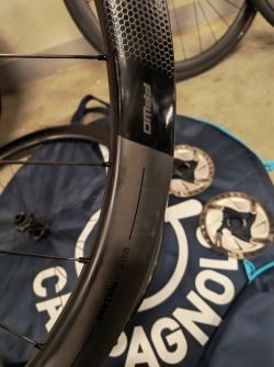 FAST FORWARD RYOT 44 DISC