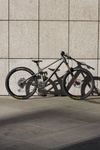 Transition Sentinel Carbon