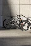 Transition Sentinel Carbon