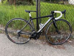 Canonndale Synapse karbon 49/XS