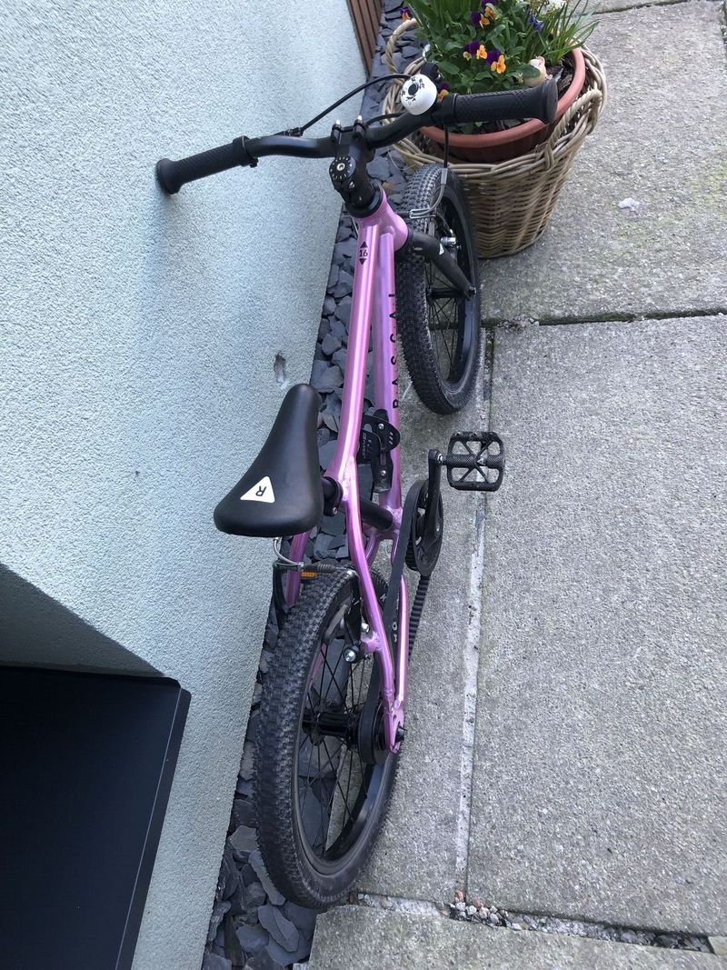 Rascal 16” 