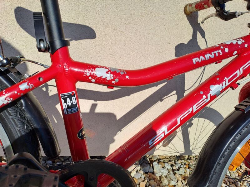 Superior Paint 20"