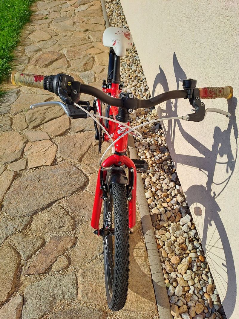 Superior Paint 20"