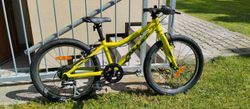 Amulet TOMCAT 20"