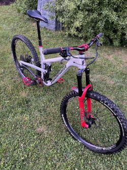 Propain TYEE 29"