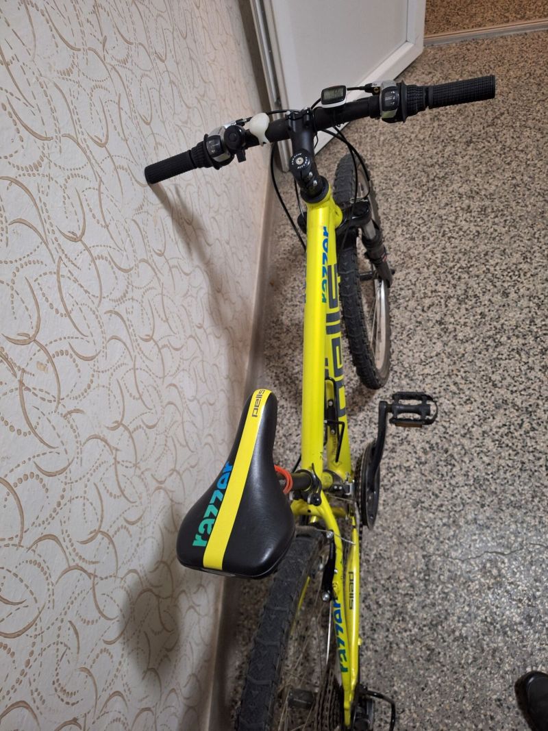 Dětské kolo PELLS Razzer 24