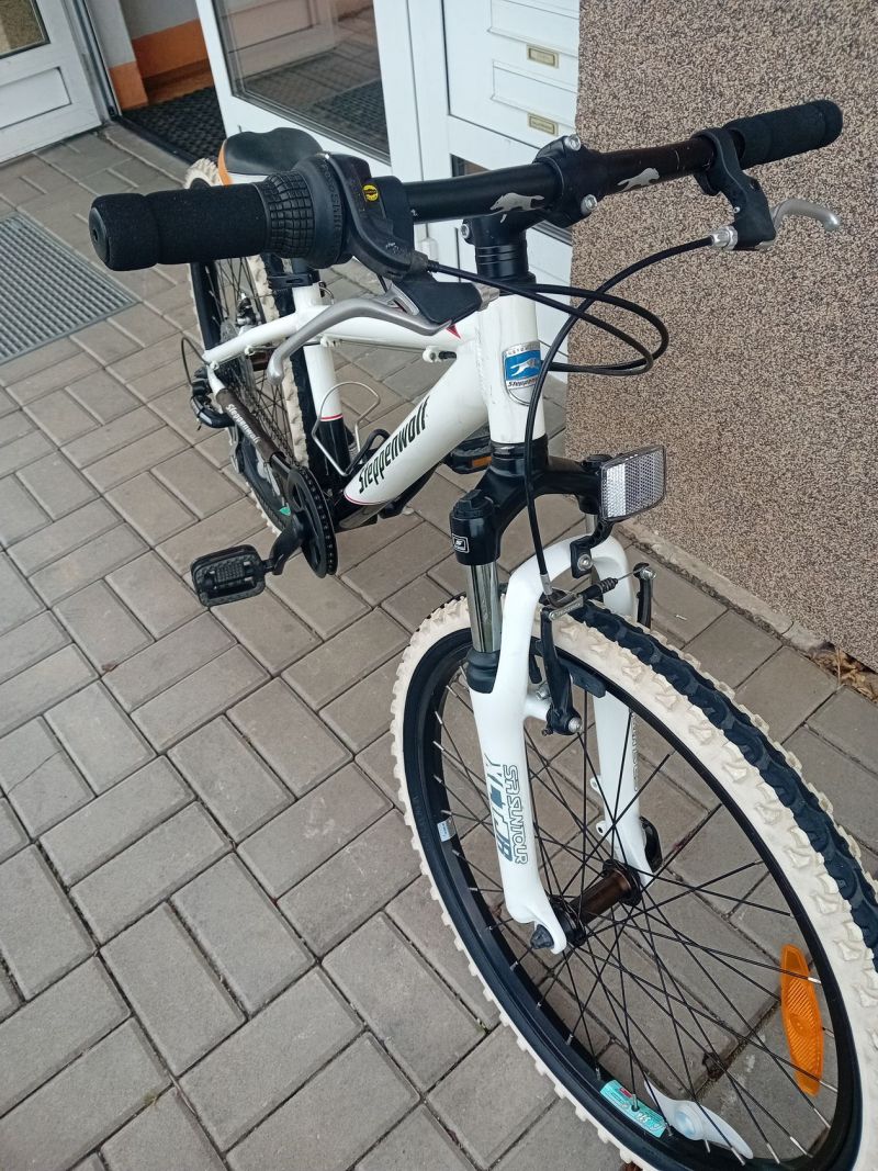 Dětské 24"