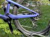 Canyon Lux Trail CFR LTD (2024)