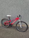Haibike Hard Four Life 10