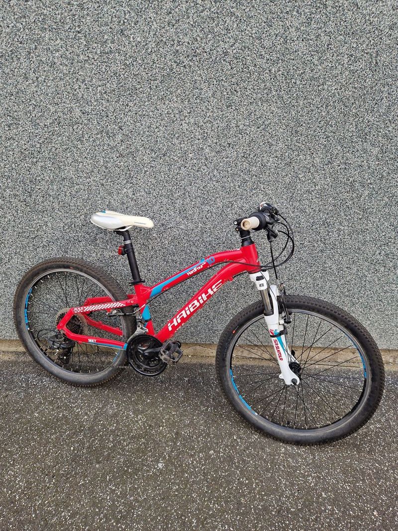 Haibike Hard Four Life 10
