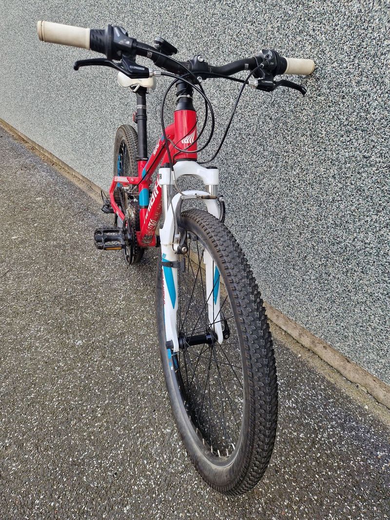Haibike Hard Four Life 10