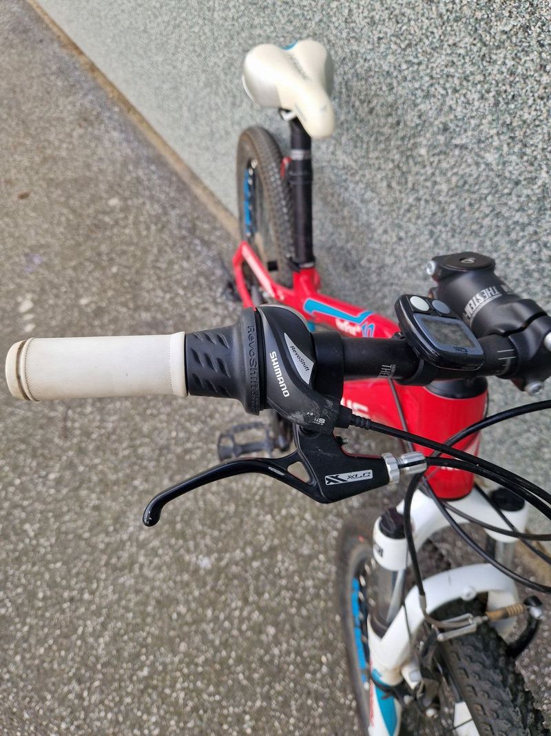 Haibike Hard Four Life 10