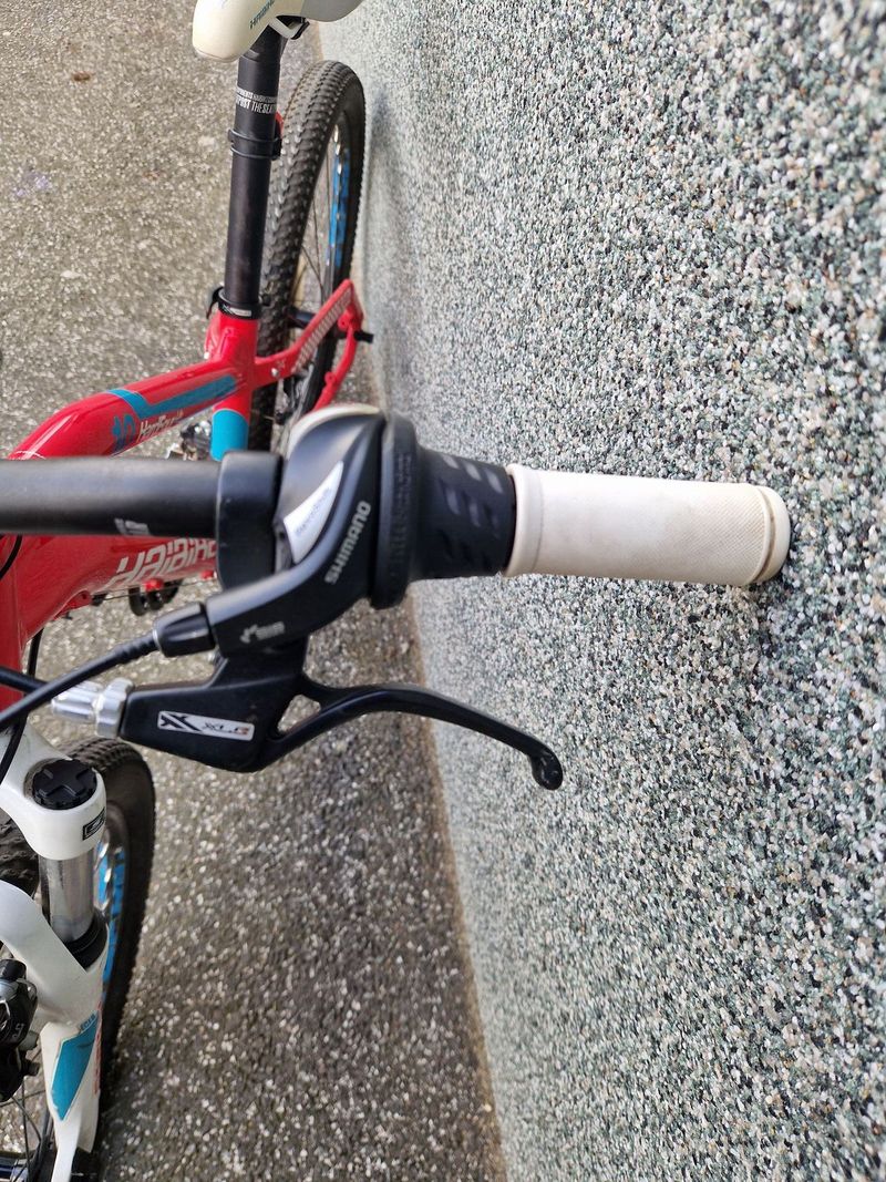 Haibike Hard Four Life 10