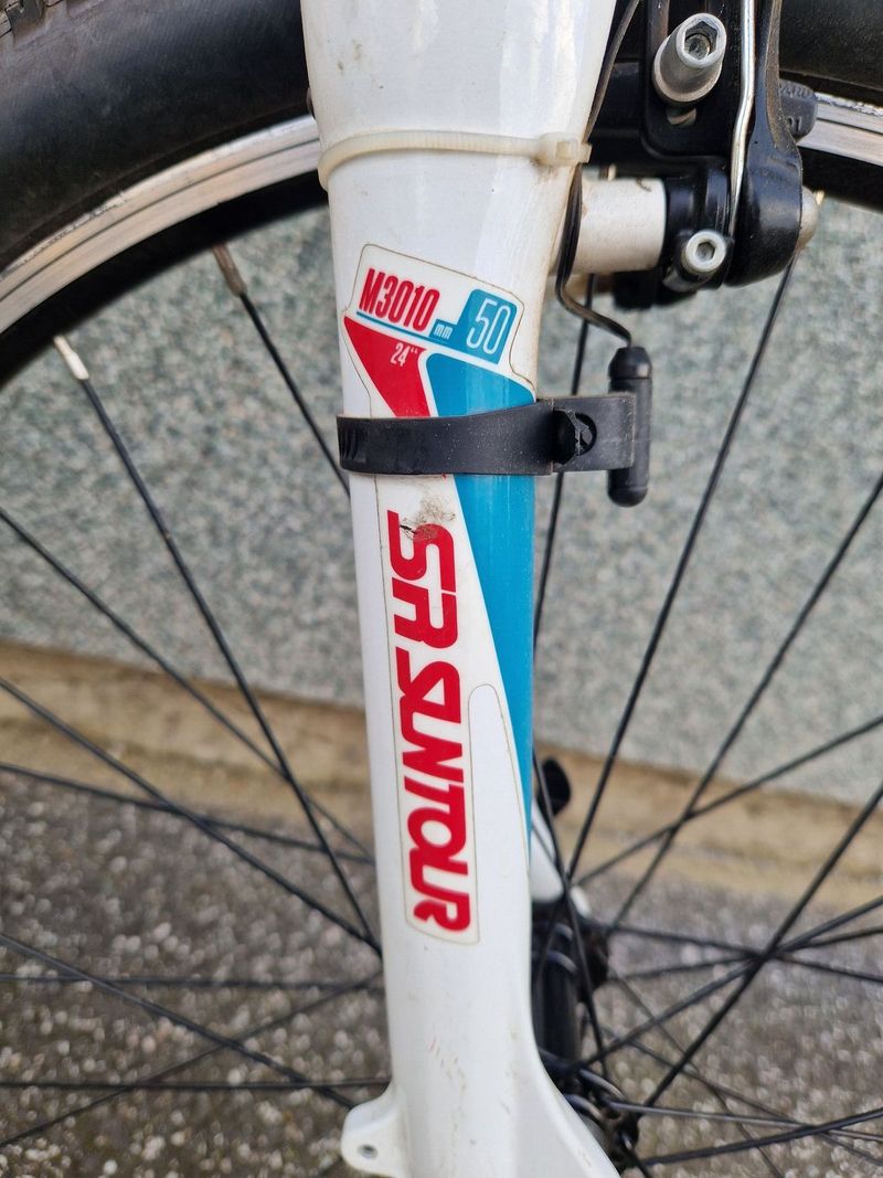 Haibike Hard Four Life 10