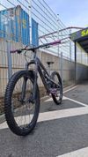 Yt capra 2019